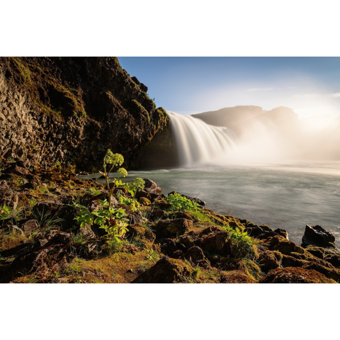 This is a test description